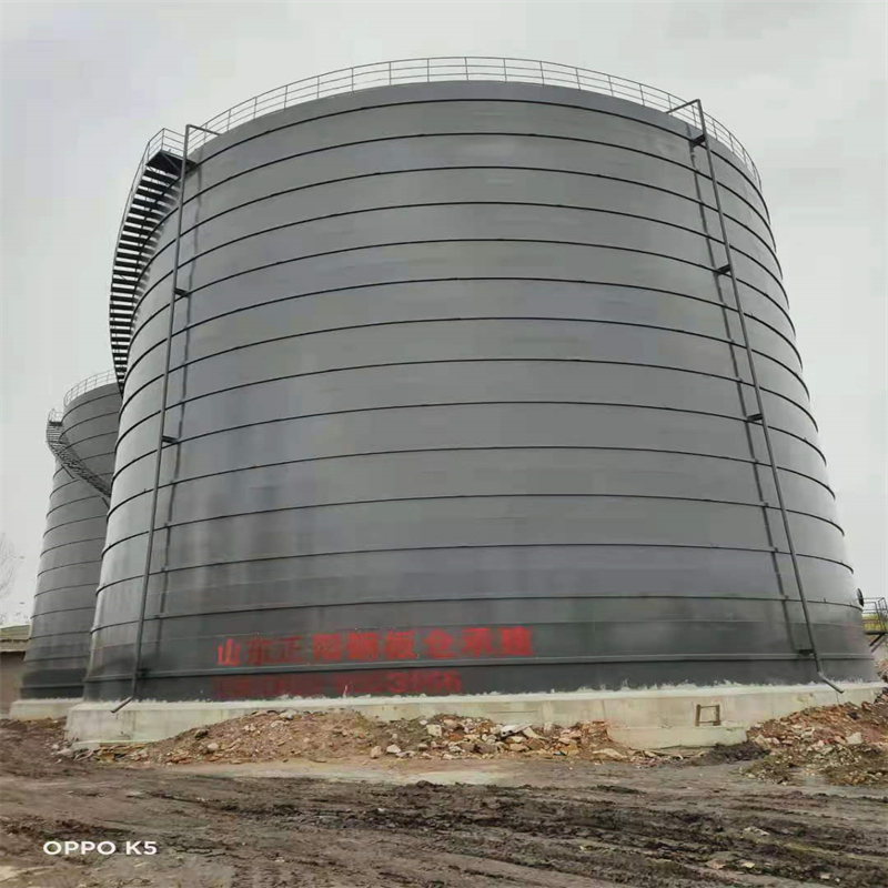 沔城回族镇3万吨大型钢板库