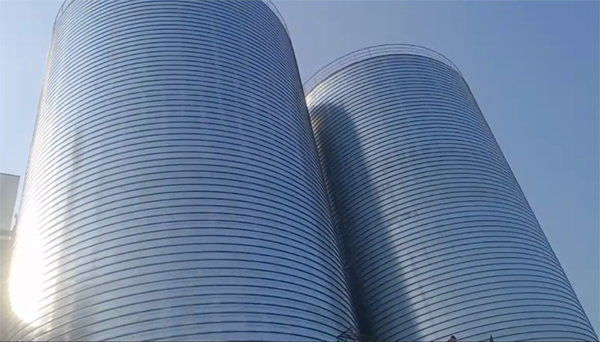 沔城回族镇2座混凝土高架卷板仓